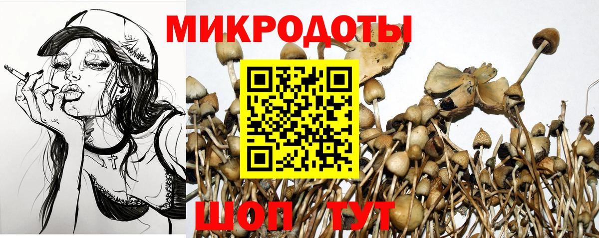 Псилоцибиновые грибы мухоморы  Галлюциногенные грибы прущие грибы  Вход с VPN  Ноябрьск 